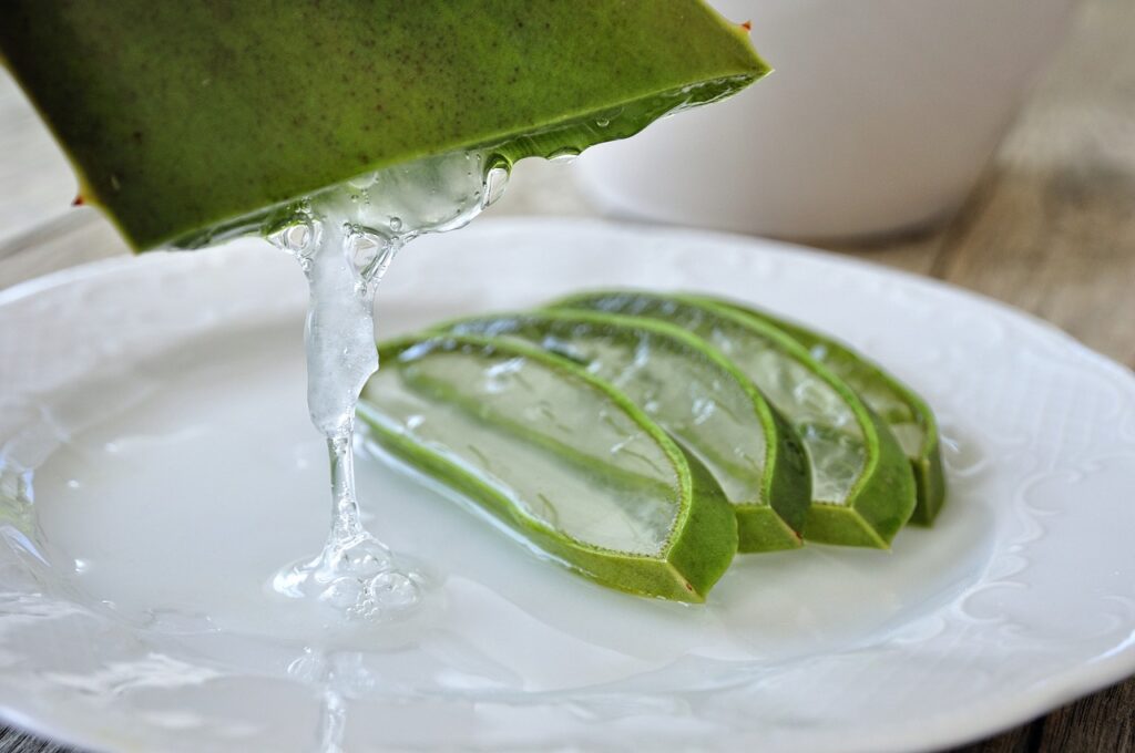 aloe Vera The Soothing Skin Elixir for Glowing complexion